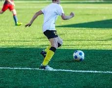 许昕樊振东,男双称霸乒,联总决赛,球友会官网,球友会官网入口,球友会网站,球友会,球友会登录入口