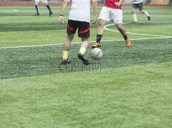 双生花重逢,钟欣桐准时,为蔡卓妍庆,球友会官网,球友会官网入口,球友会网站,球友会,球友会登录入口