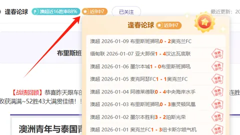 球友会 产品 085137 hzy