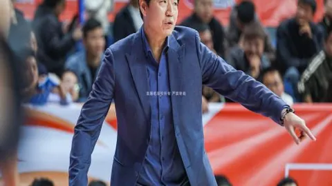 上海绿地申花足球队简介